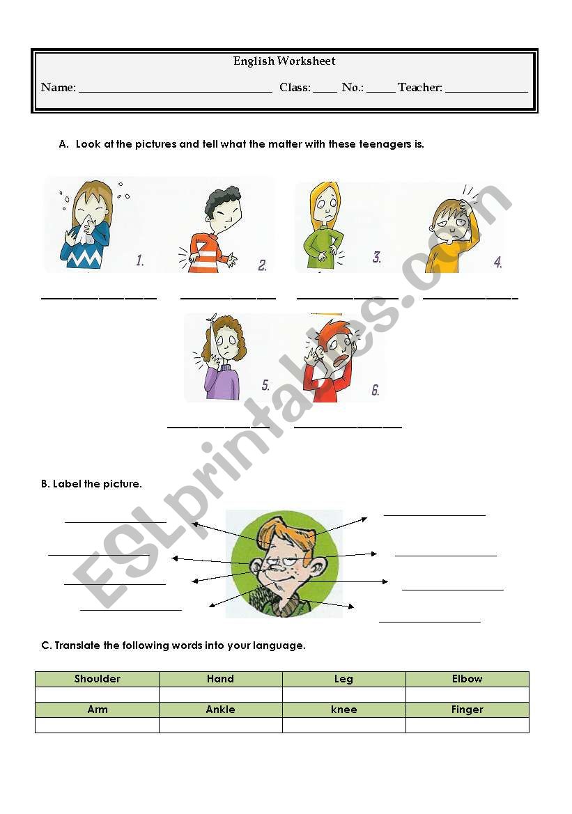 Human body and diseases worksheet