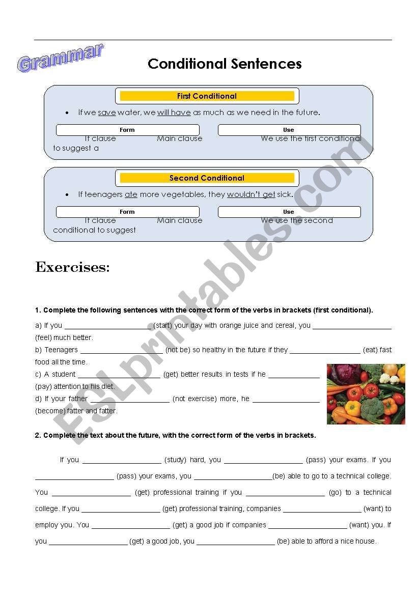 Conditional sentences worksheet