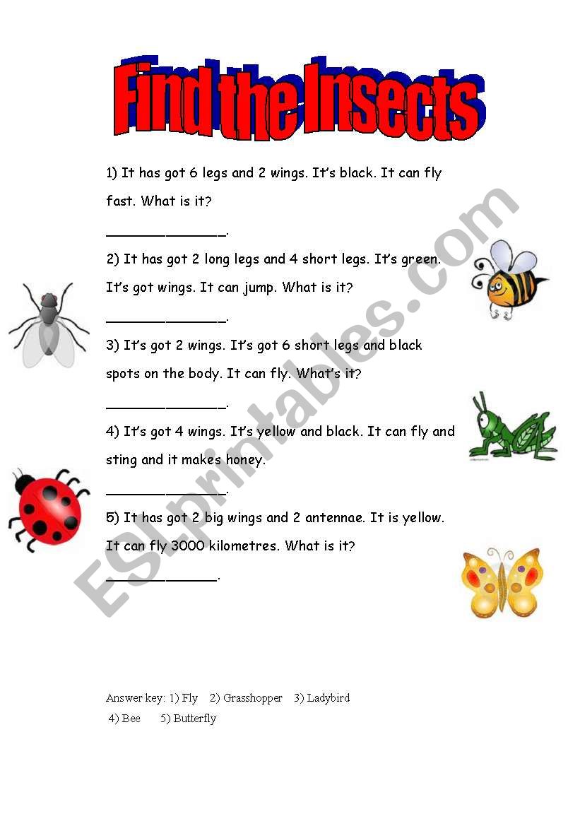 INSECTS worksheet