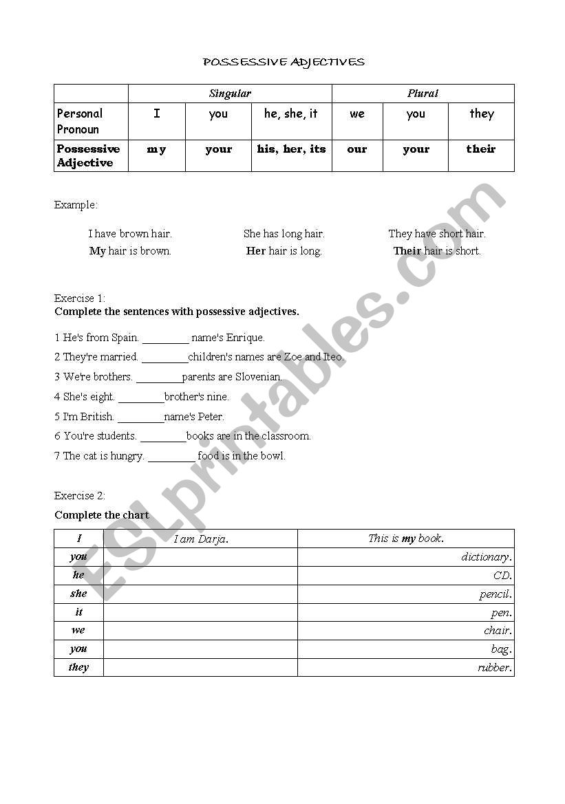 possessive adjectives worksheet