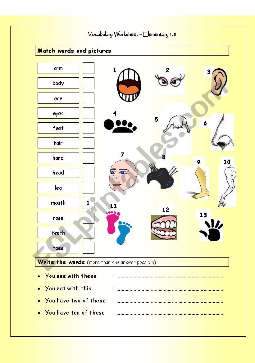 Vocabulary Matching Worksheet - Body Parts (Elementary 1.8)
