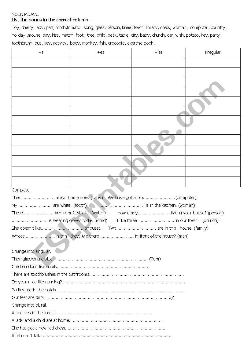 noun plural worksheet