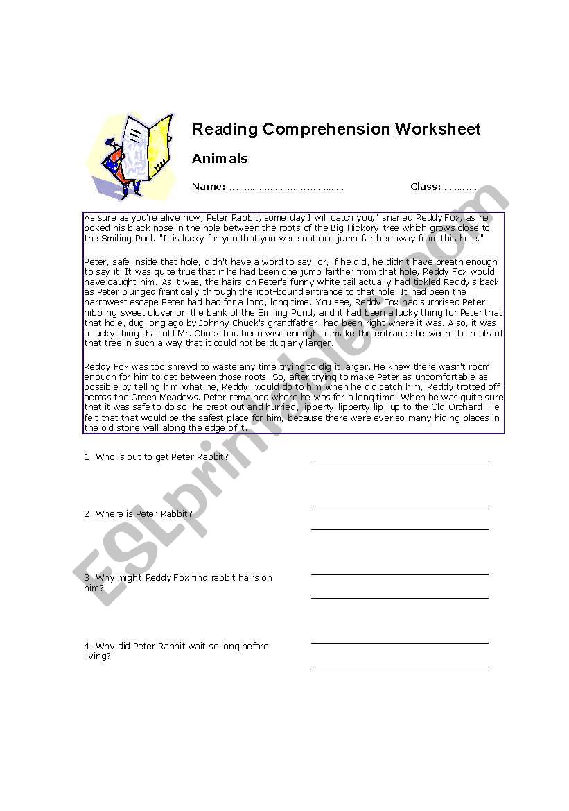 reading comprehension worksheet