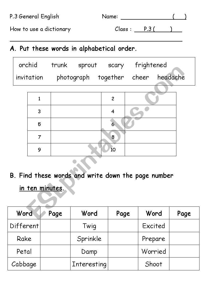 how to use a dictionary worksheet