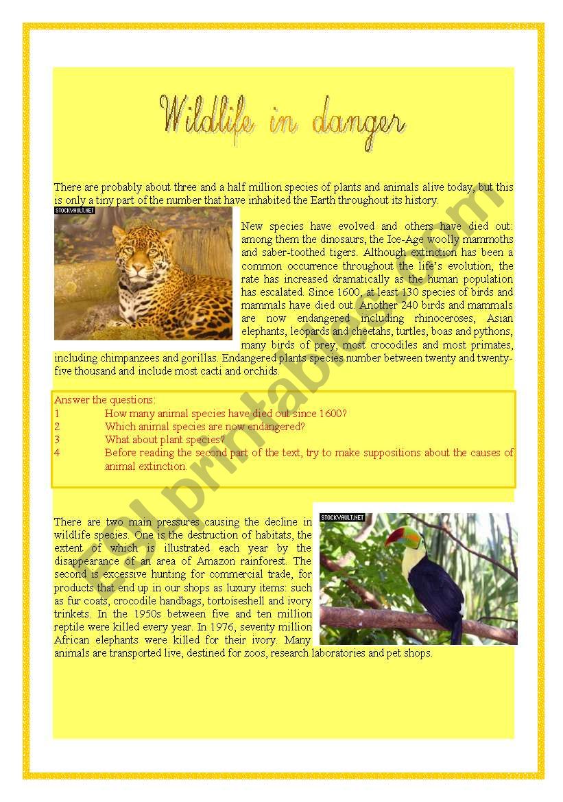 WILDLIFE IN DANGER worksheet