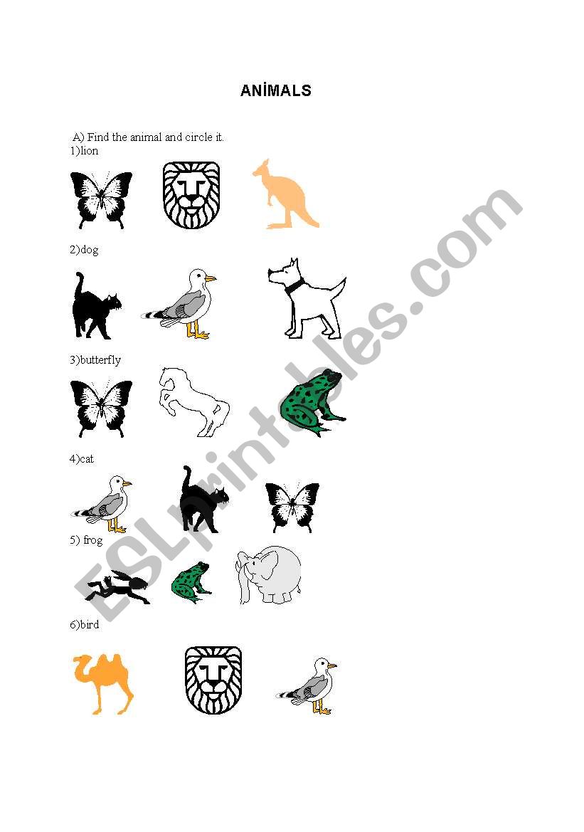 Animals worksheet