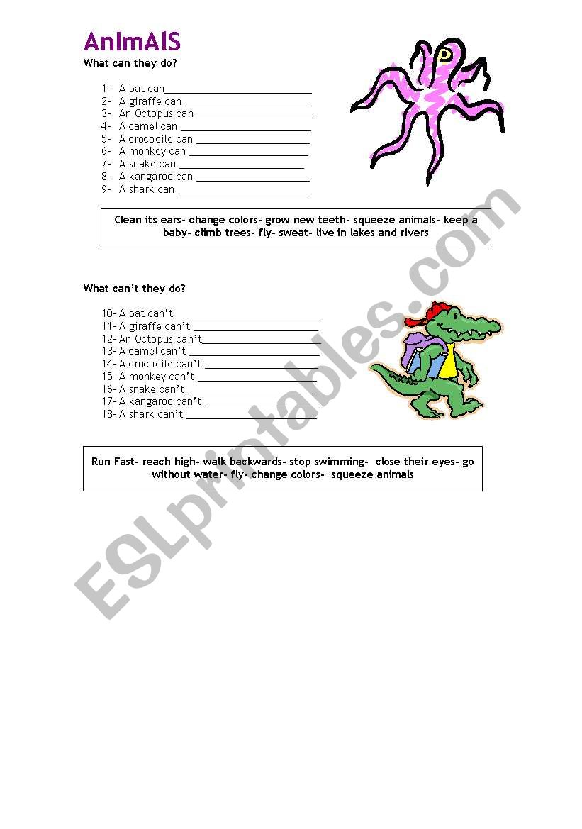 Animals worksheet