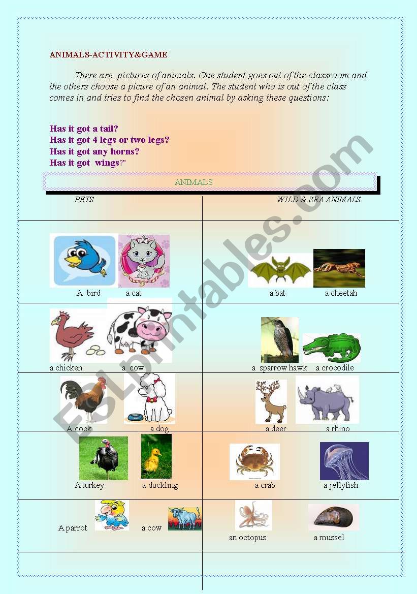 animal activity worksheet