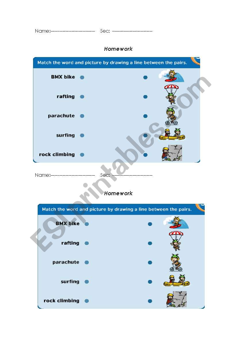 sportd activities worksheet