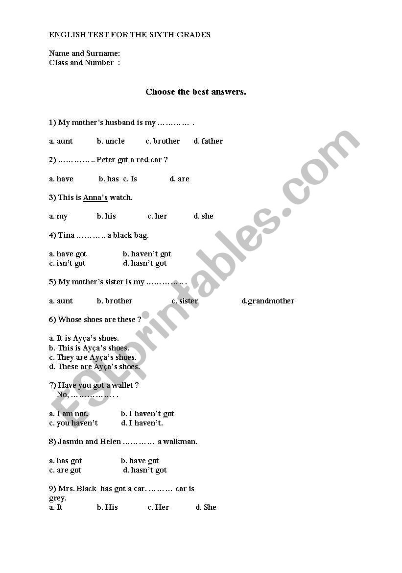 Family and have got-has got worksheet