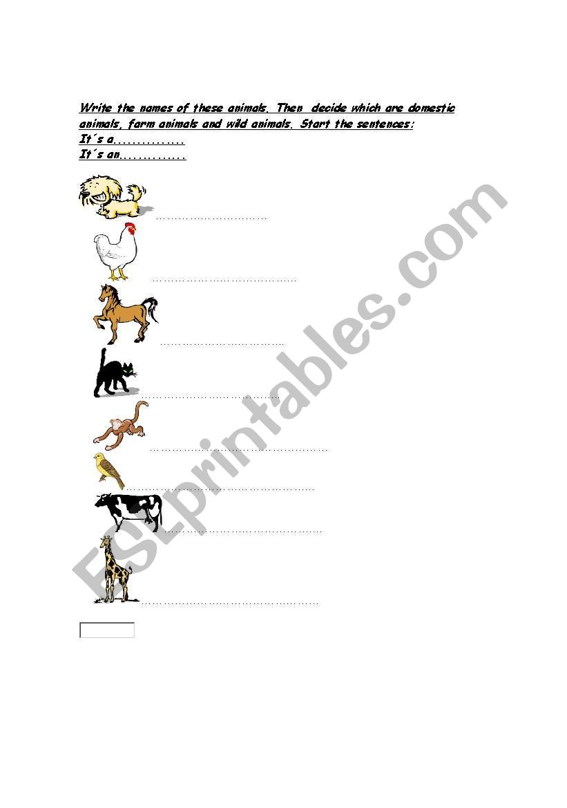 Animals worksheet