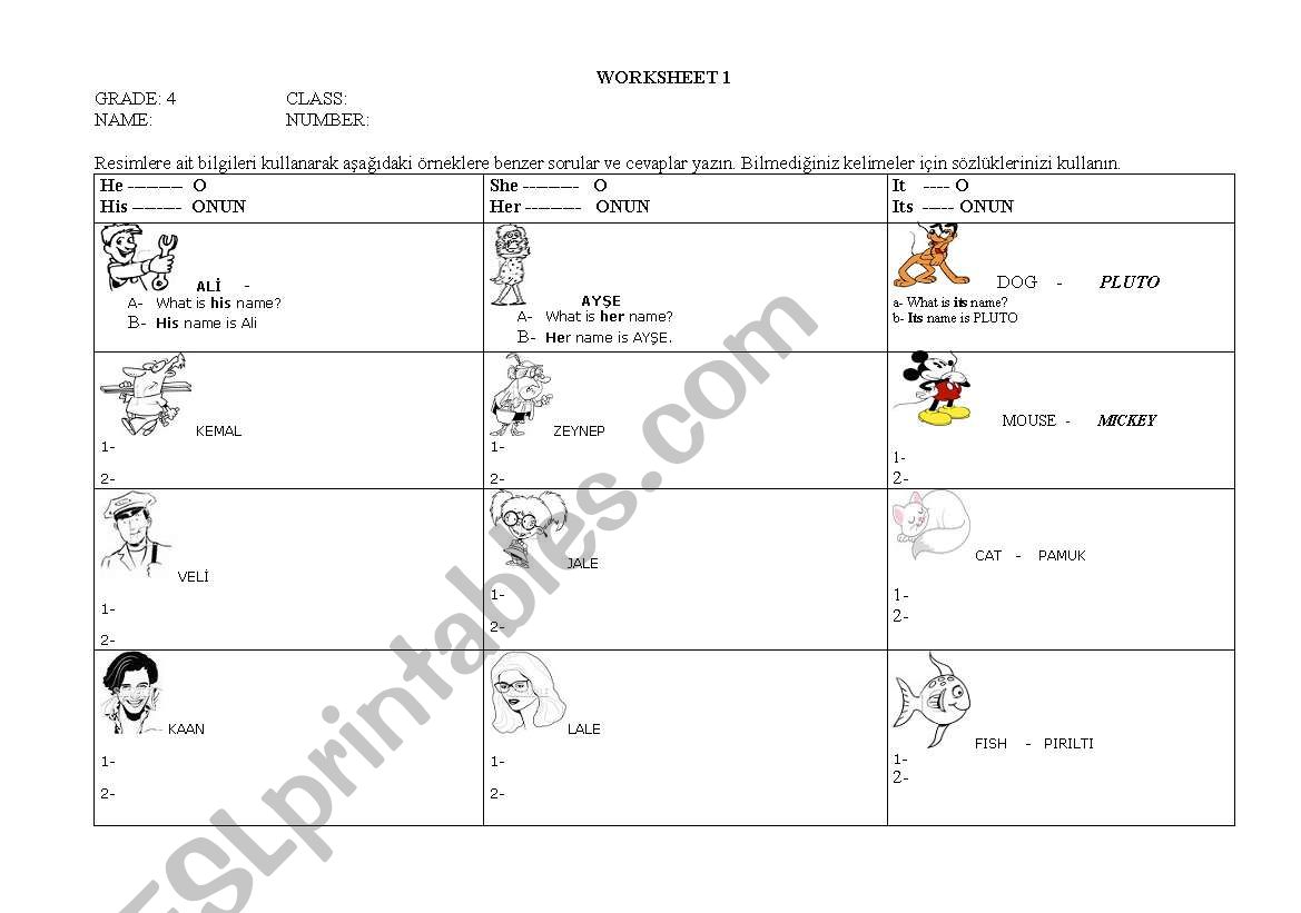  Practice- his -her-its name worksheet