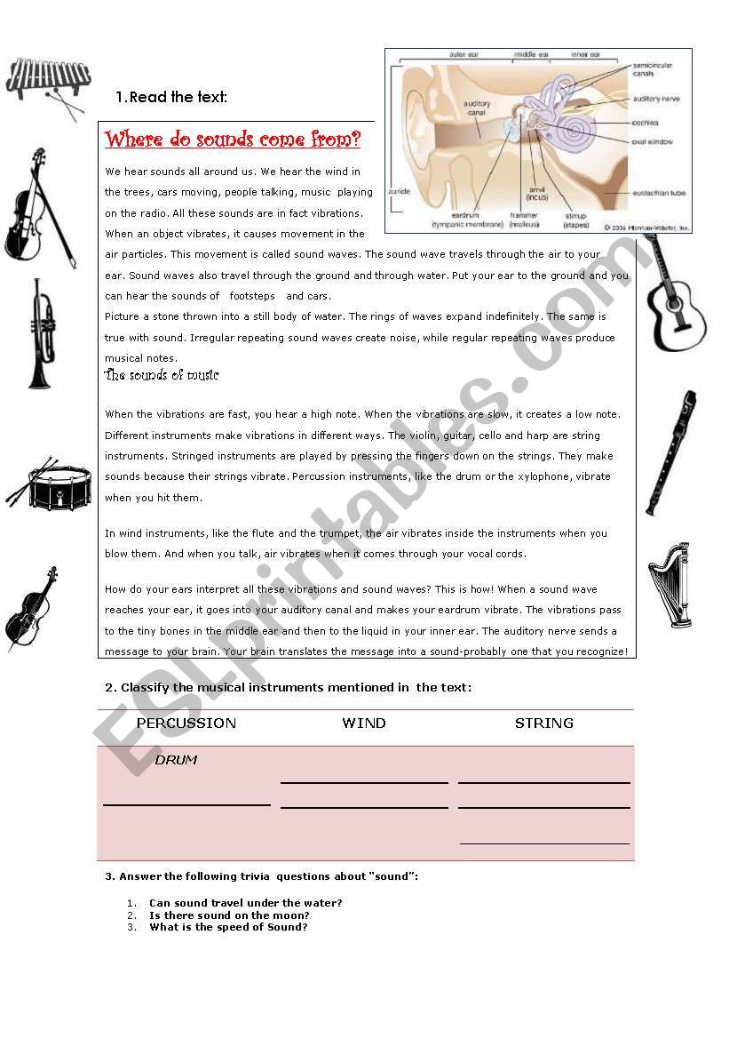 WHERE DO SOUNDS COME FROM? (READING COMPREHENSION)