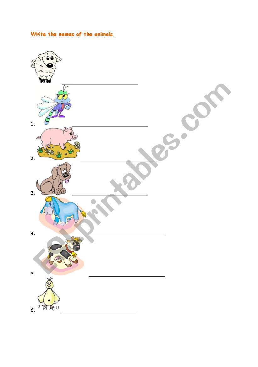 animals worksheet