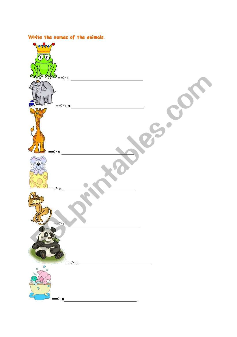 animals worksheet