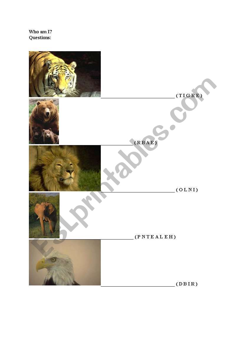 animals worksheet