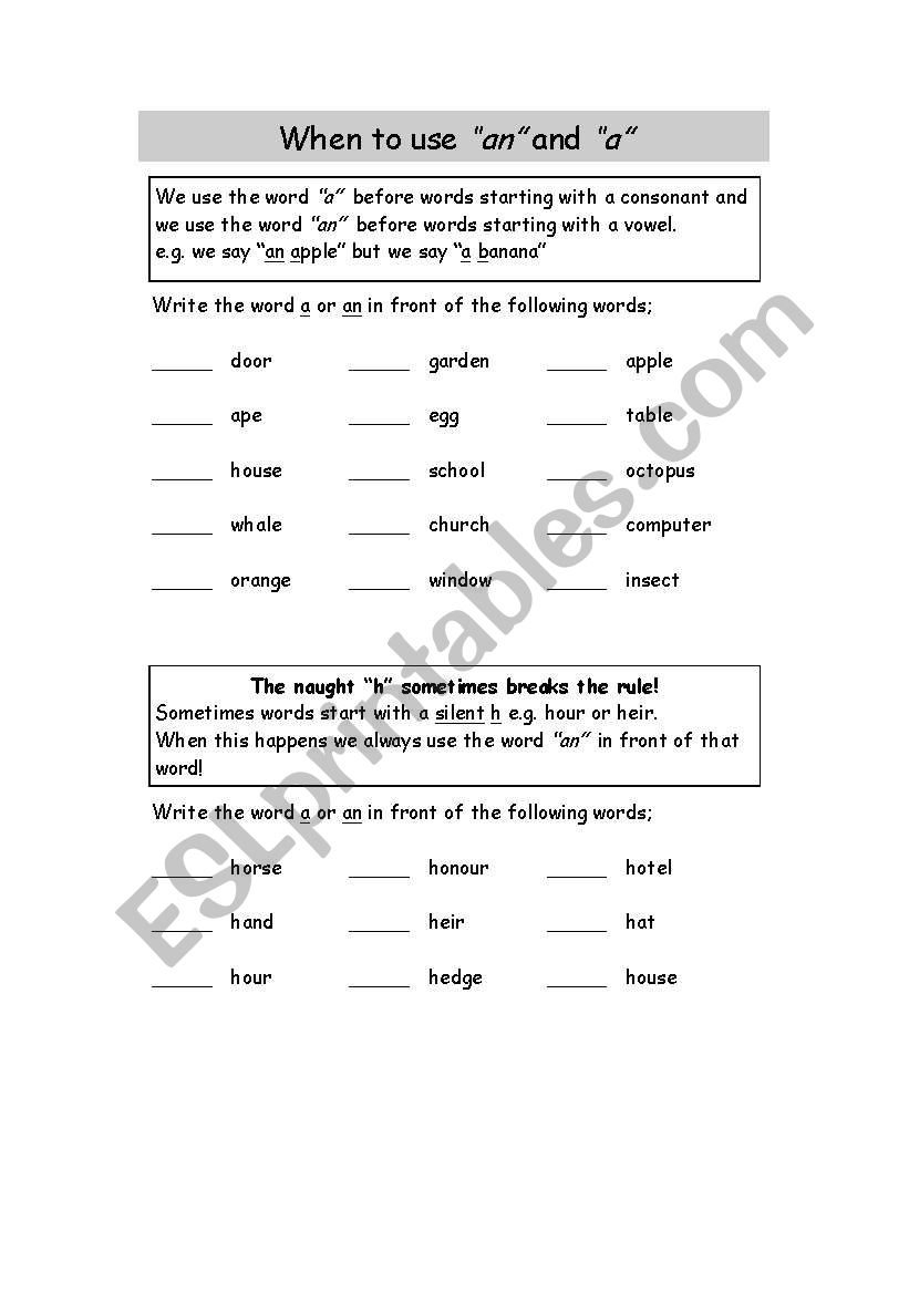 A and AN worksheet