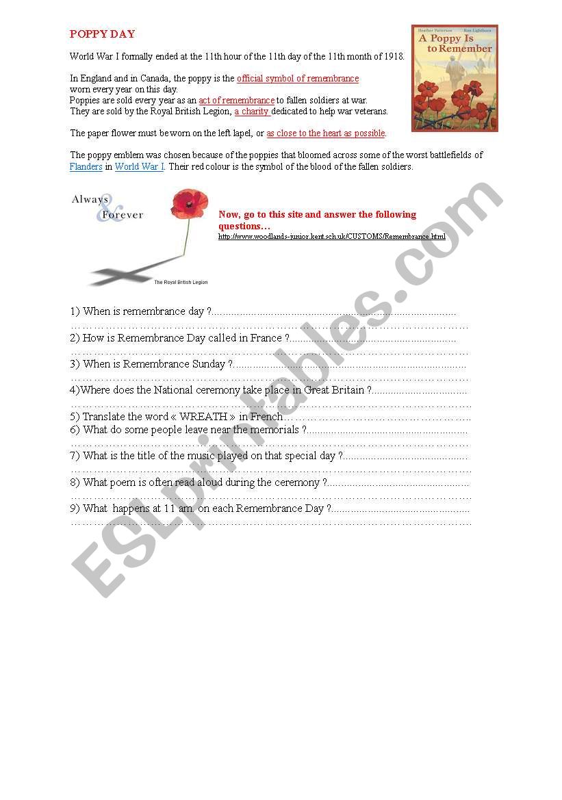 Poppy day - remembrance day worksheet