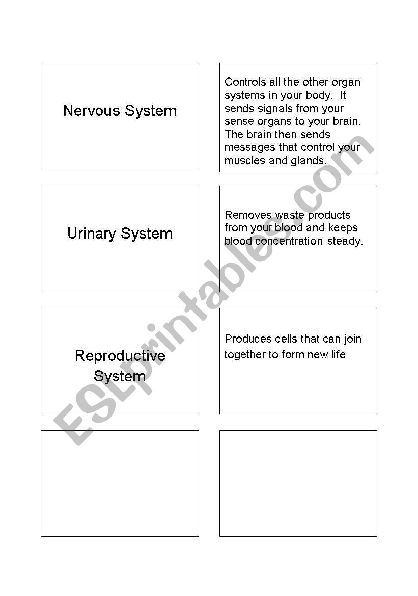 Organ System Card Sort worksheet