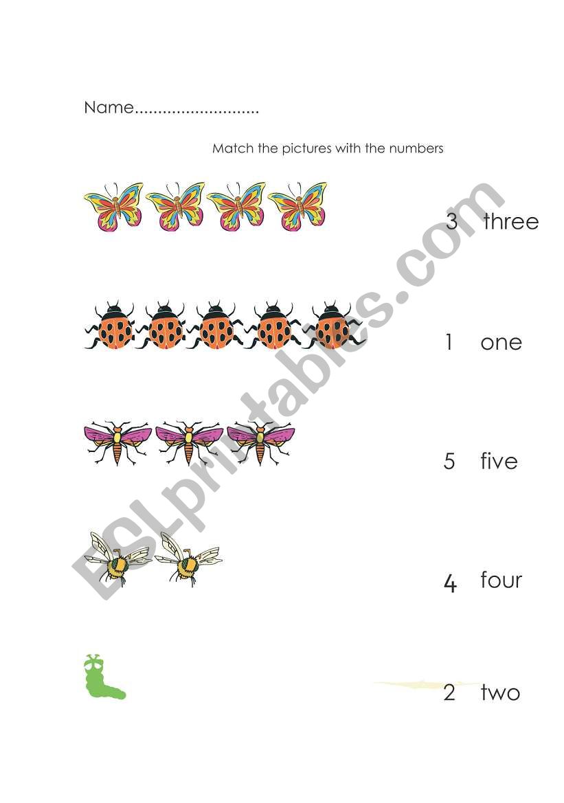 Bug counting worksheet