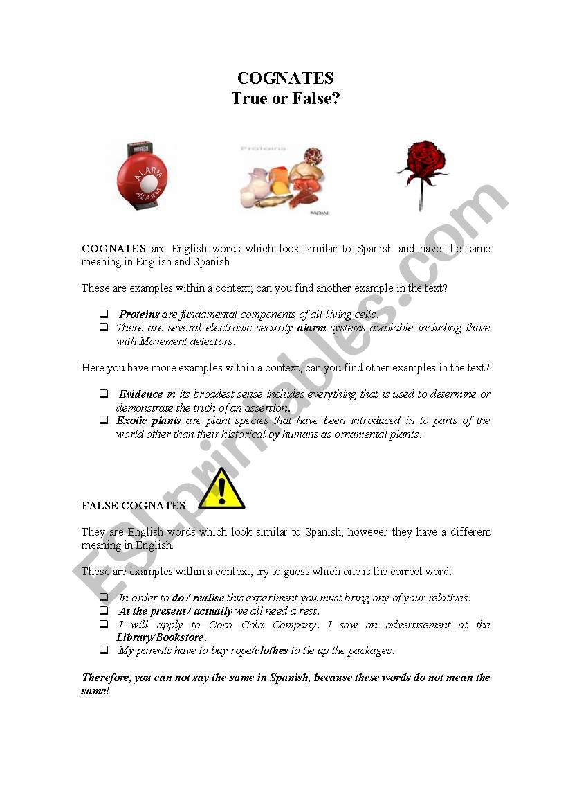 Cognates true or false? worksheet