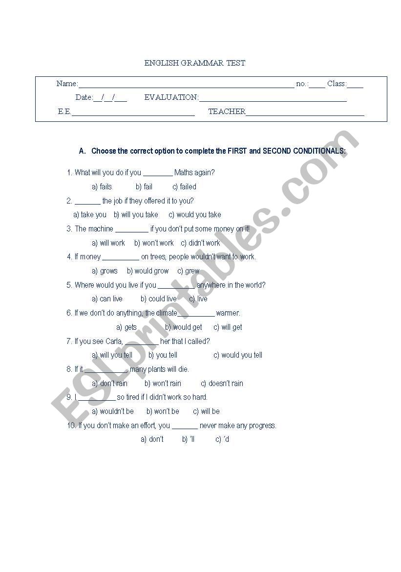 Grammar Test worksheet