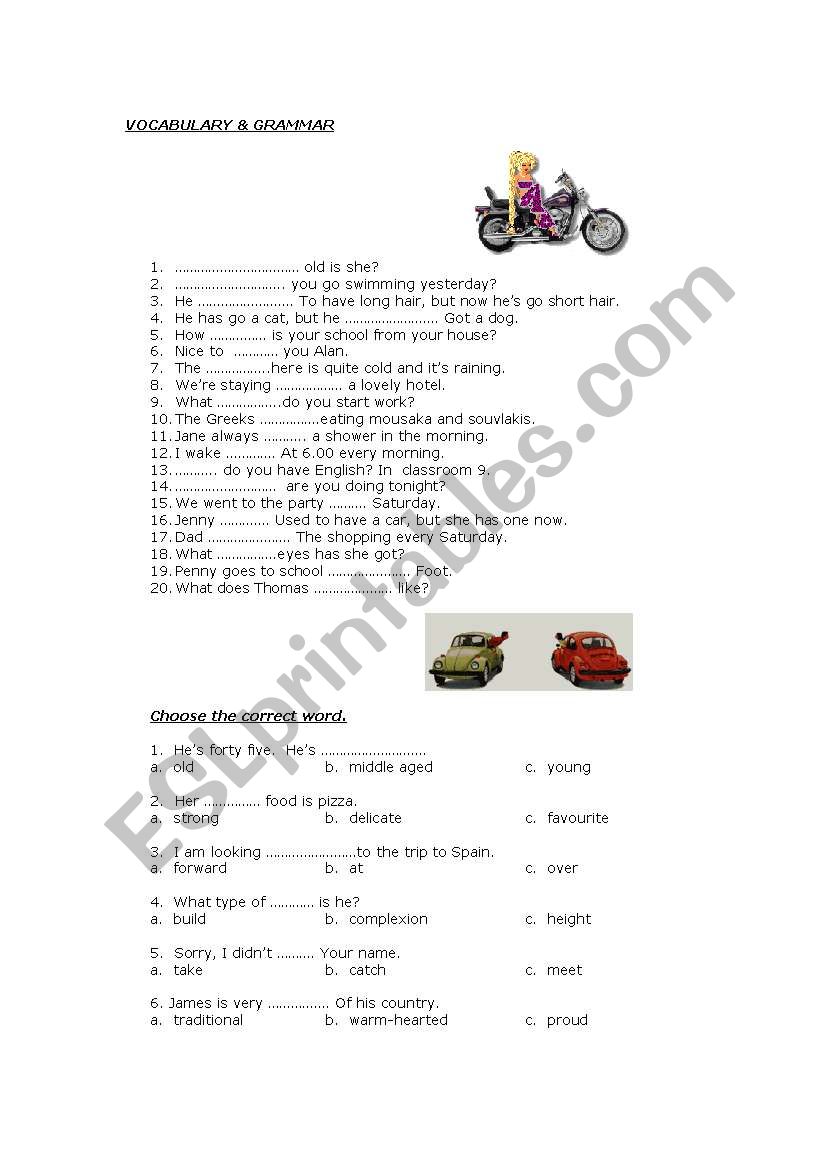 vocabulary and grammar worksheet