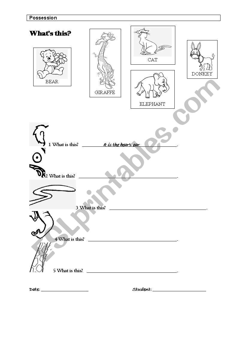 possessive s worksheet