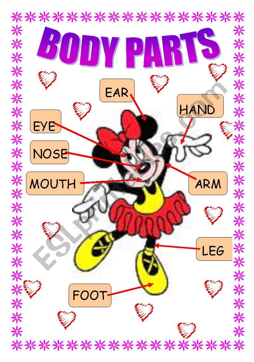 BODY PARTS worksheet