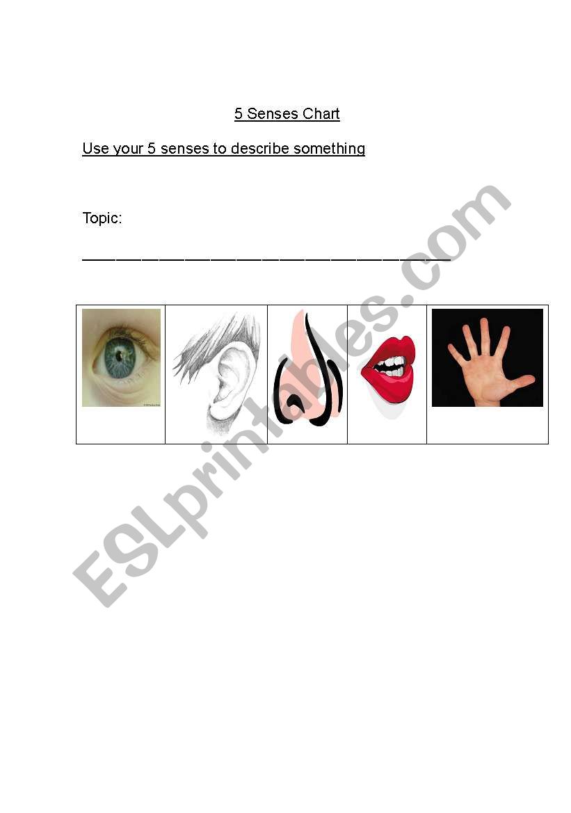 5 Senses Chart worksheet