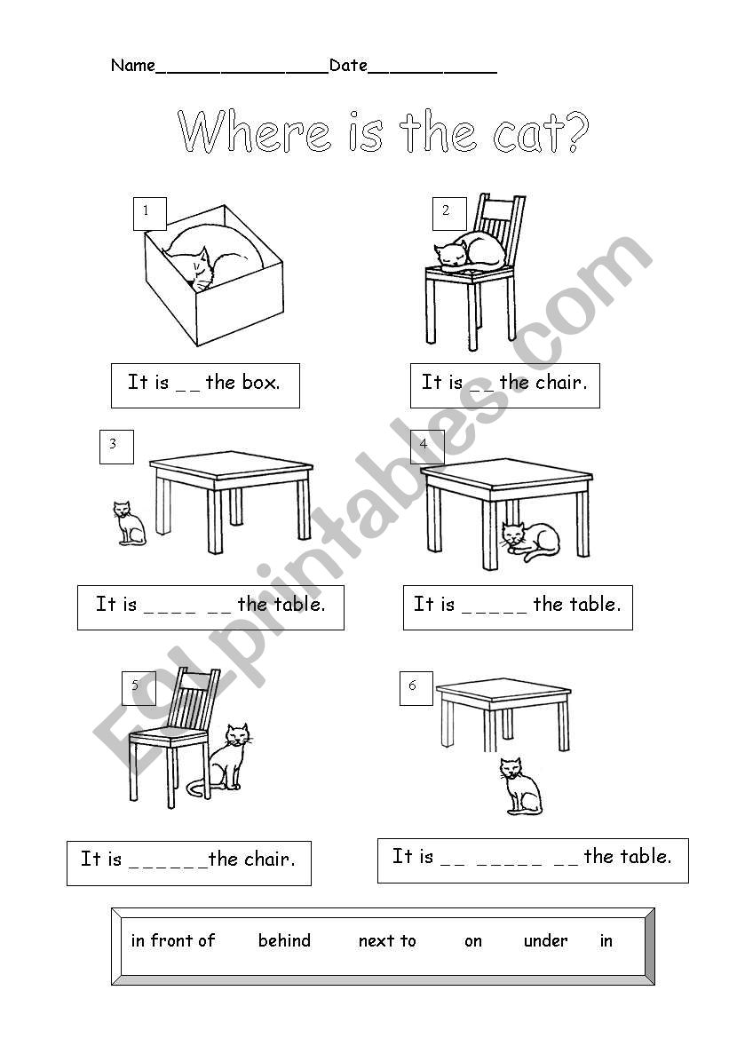 Where is the cat? worksheet