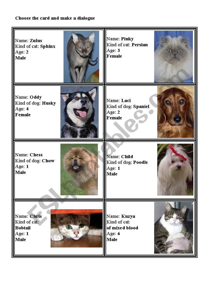Talking about pets worksheet