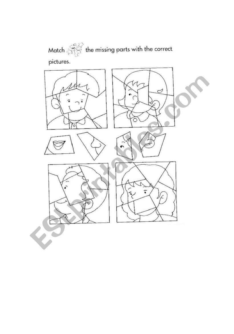 Body Part worksheet