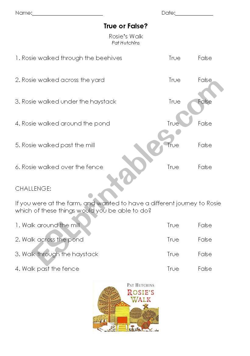 Rosies Walk - True or False worksheet