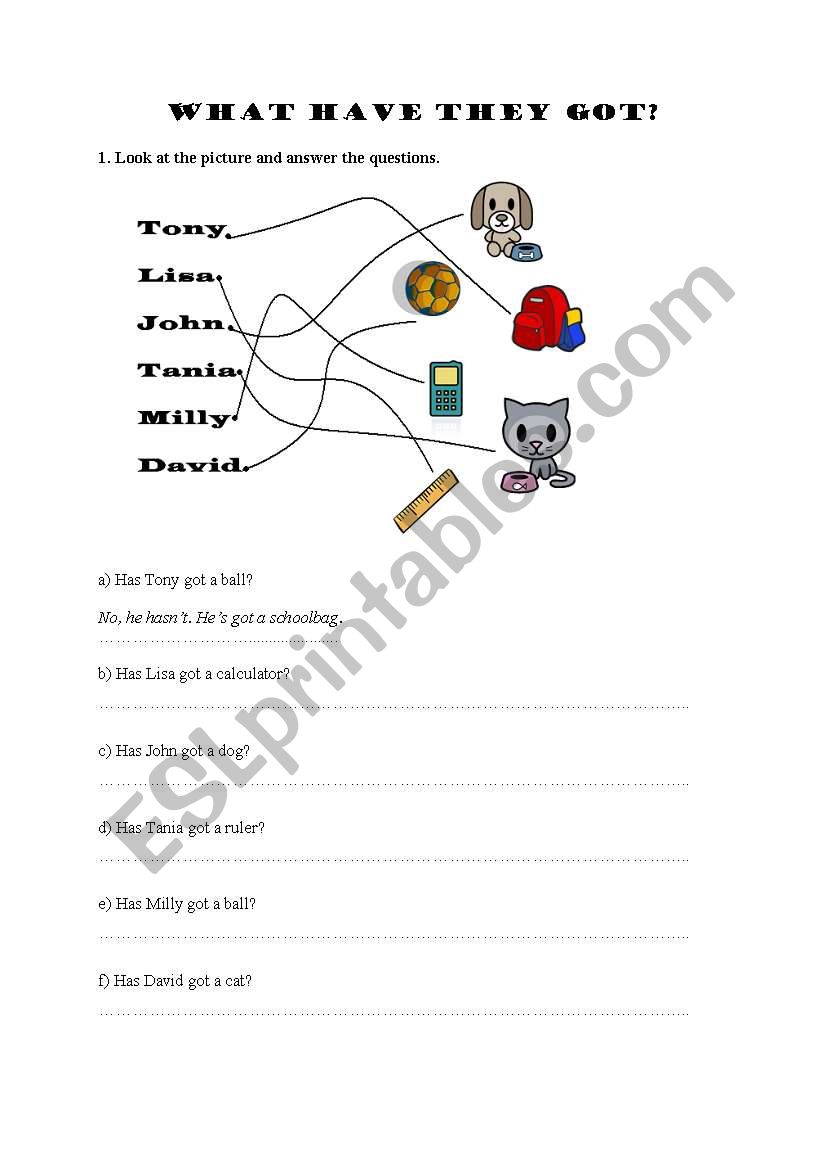 What have they got? worksheet