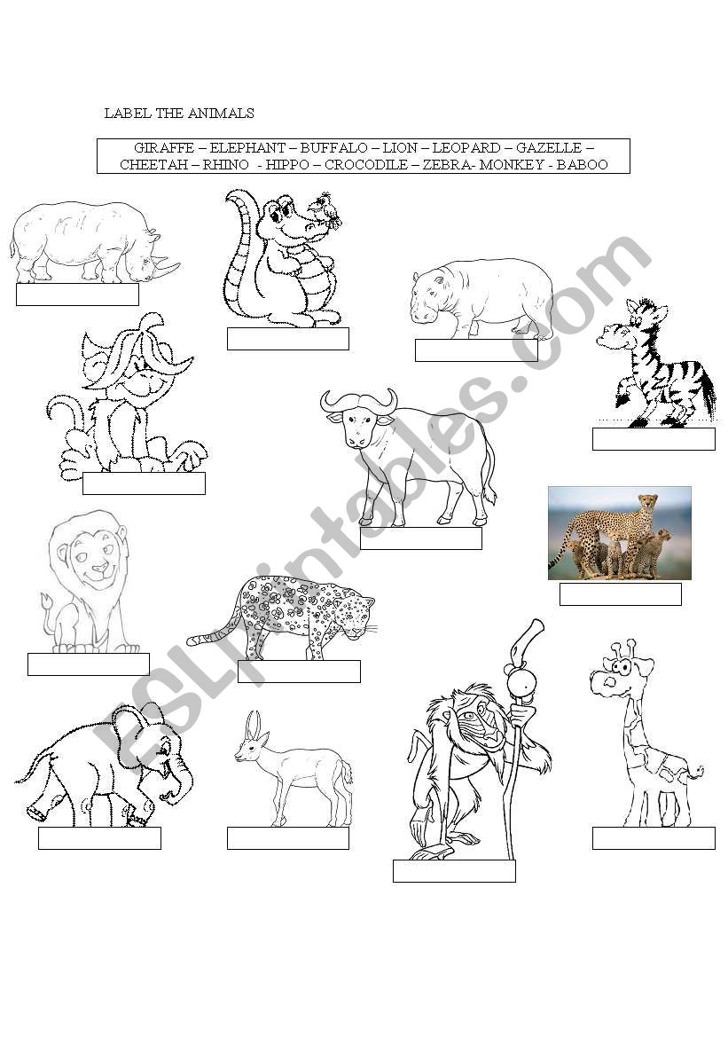 ANIMALS worksheet