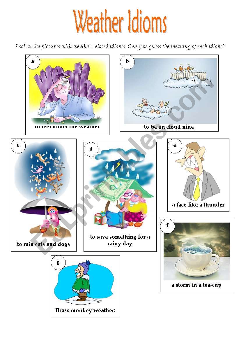 Weather Idioms worksheet