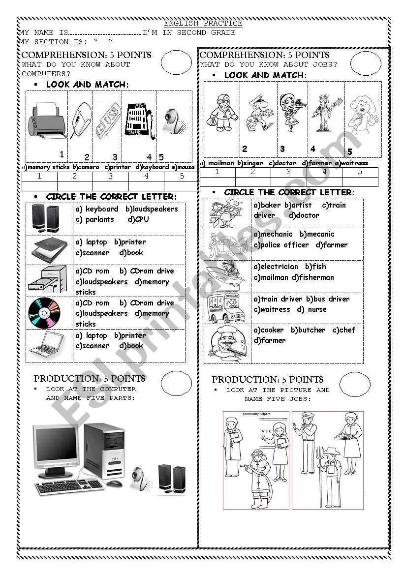 COMPUTER AND JOB worksheet