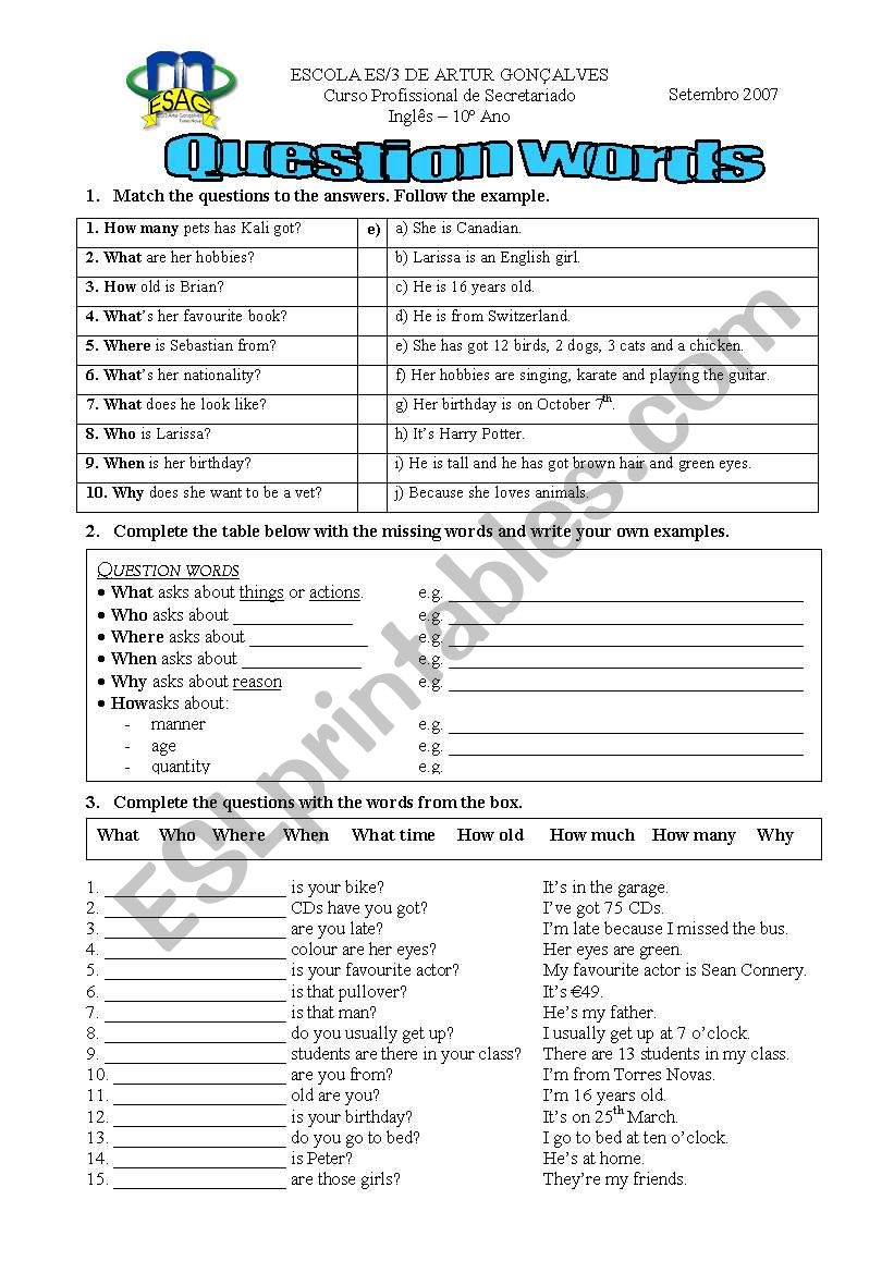 question words worksheet