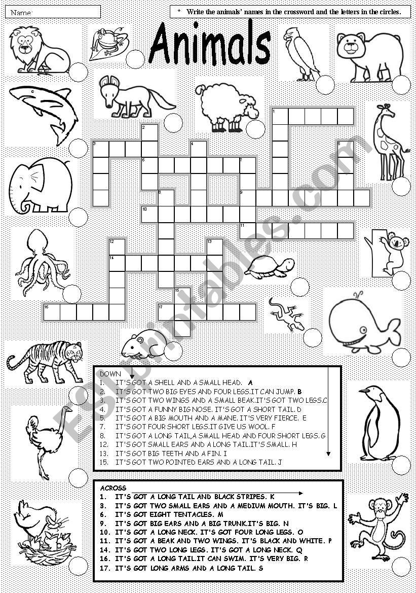 ANIMALS CROSSWORD worksheet