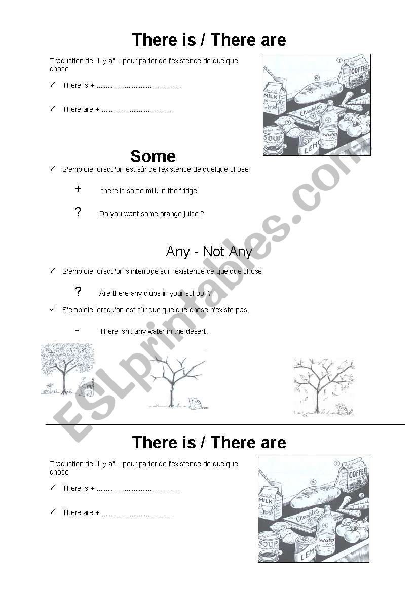 some any no worksheet
