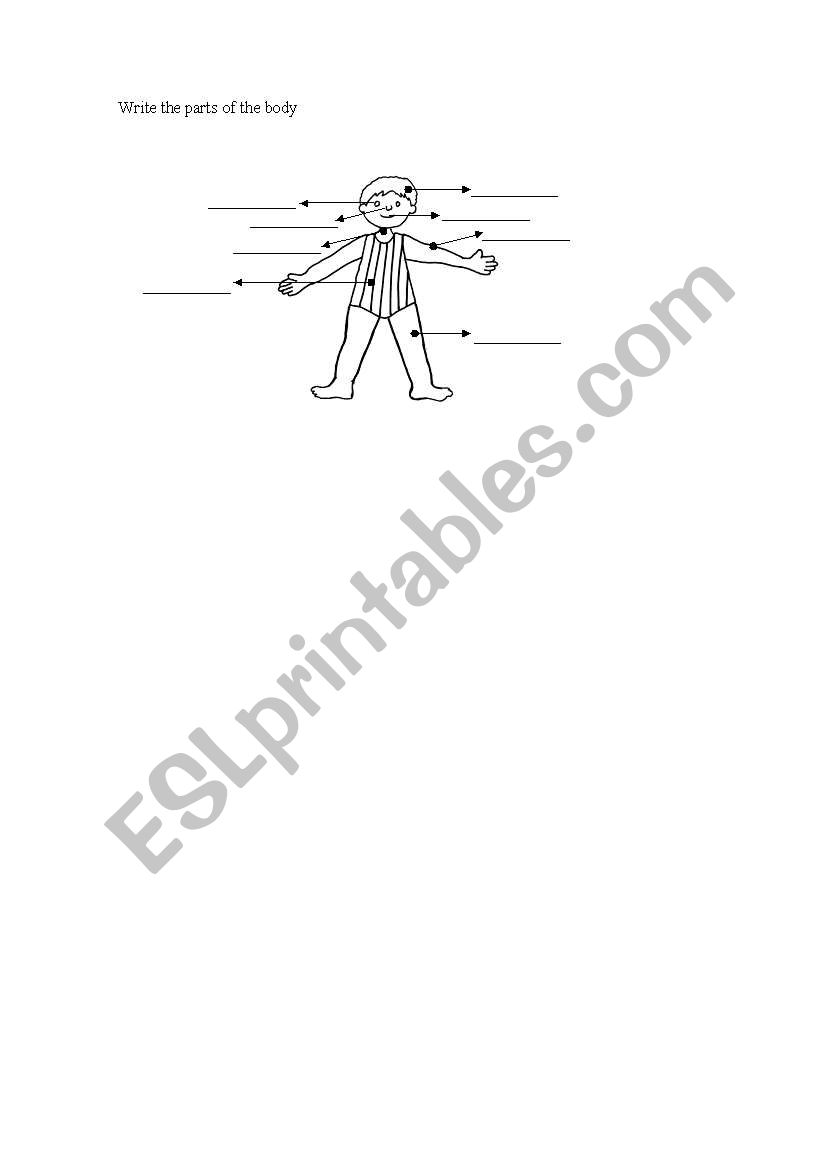 Parts of the body worksheet