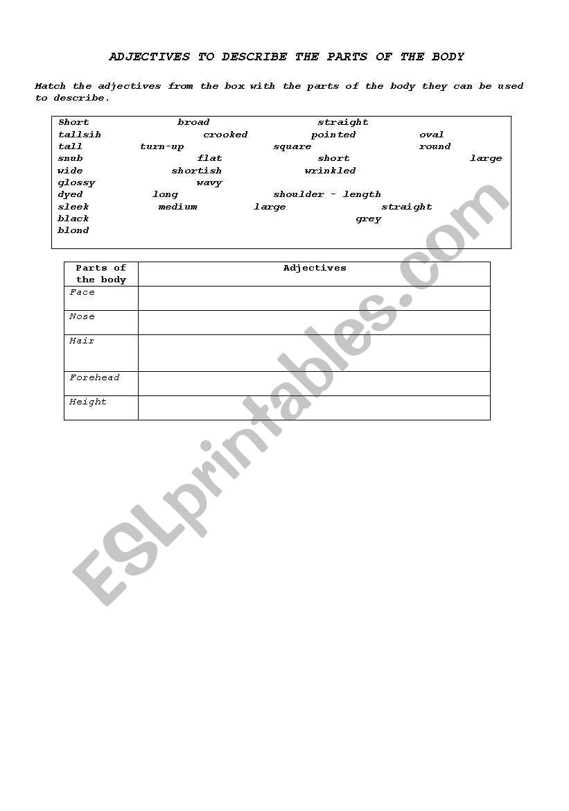ADJECTIVES TO DESCRIBE THE PARTS OF THE BODY