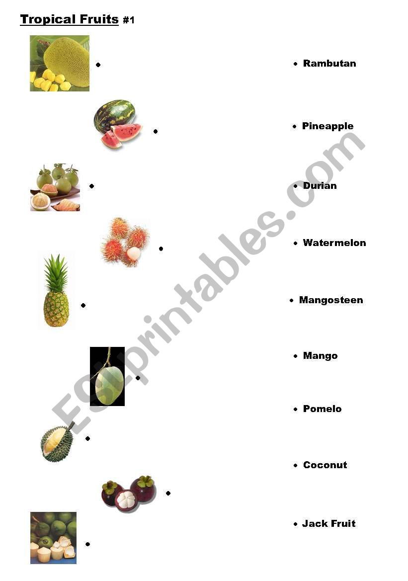 Tropical Fruits #1 worksheet