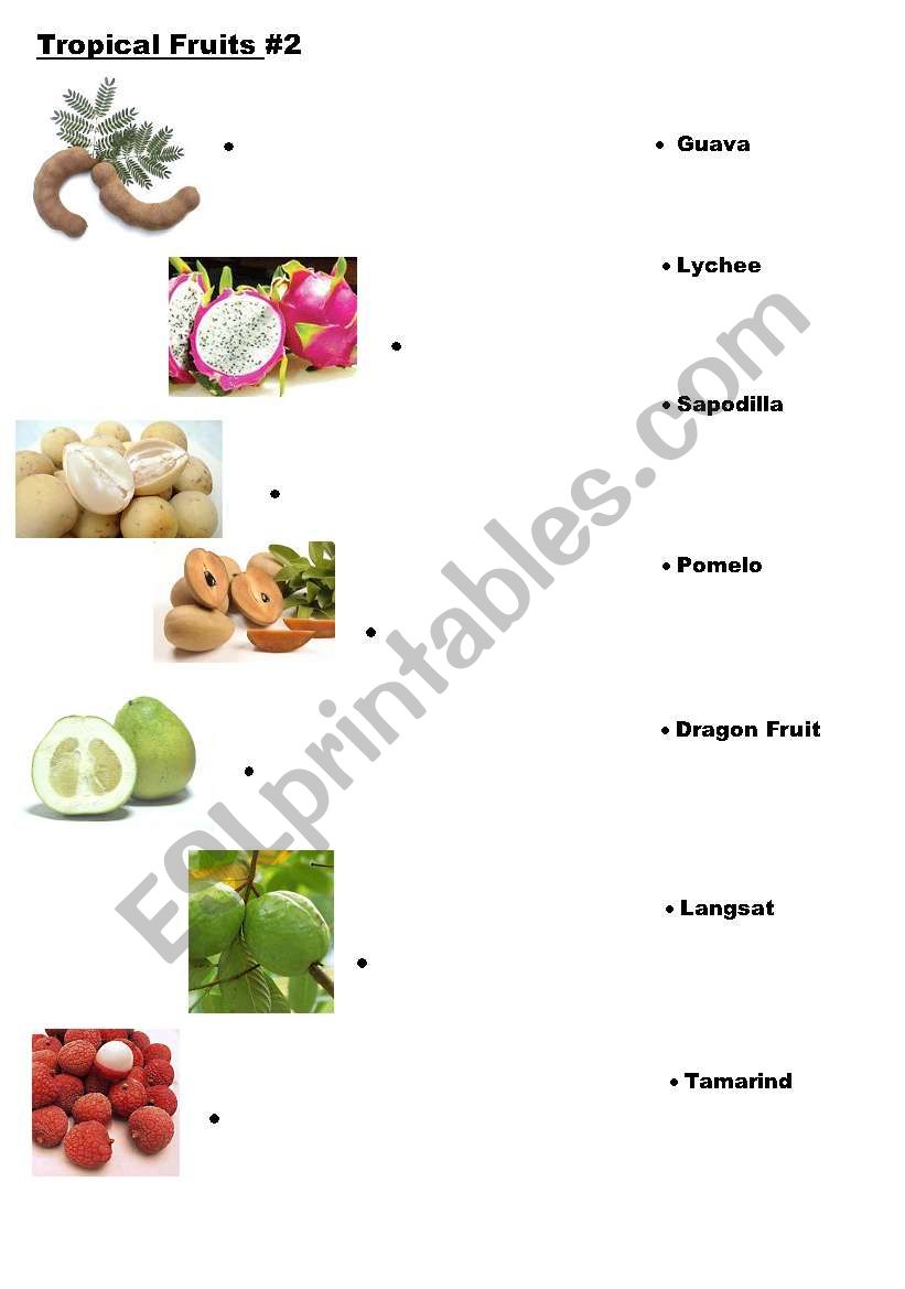 Tropical Fruits #2 worksheet