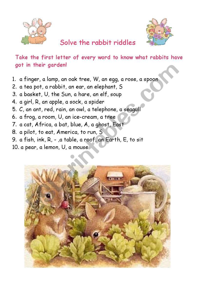 rabbit riddle worksheet