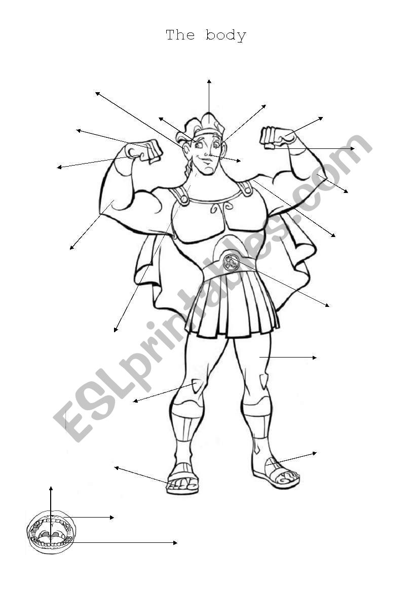 Hercules body worksheet