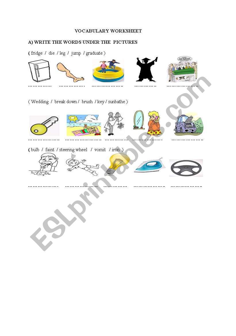 VOCABULARY EXERCISES worksheet