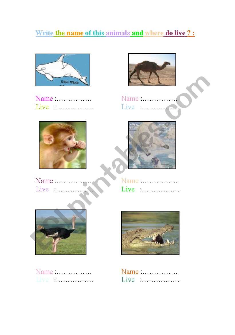 Animals worksheet