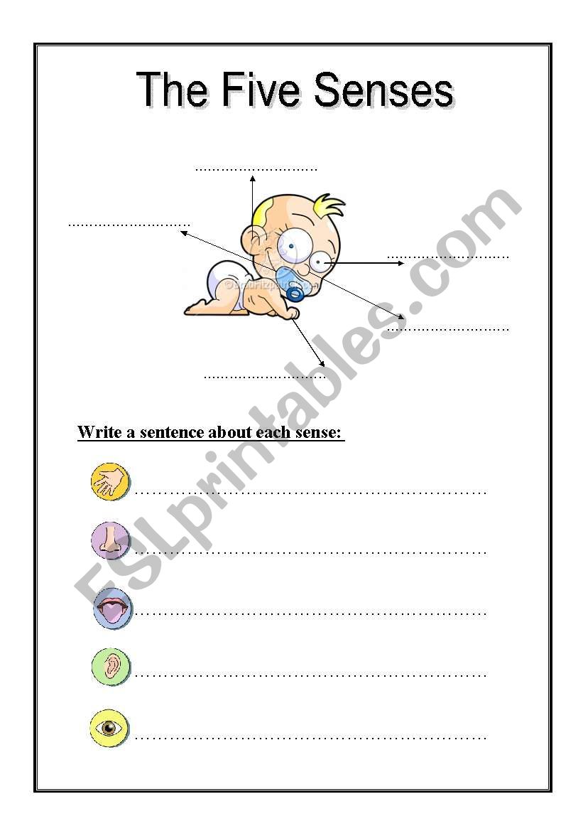 Five senses worksheet